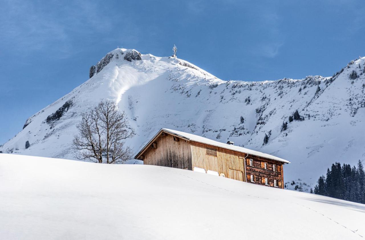 Boutiquehotel Das Edelweiss Schoppernau Exteriér fotografie