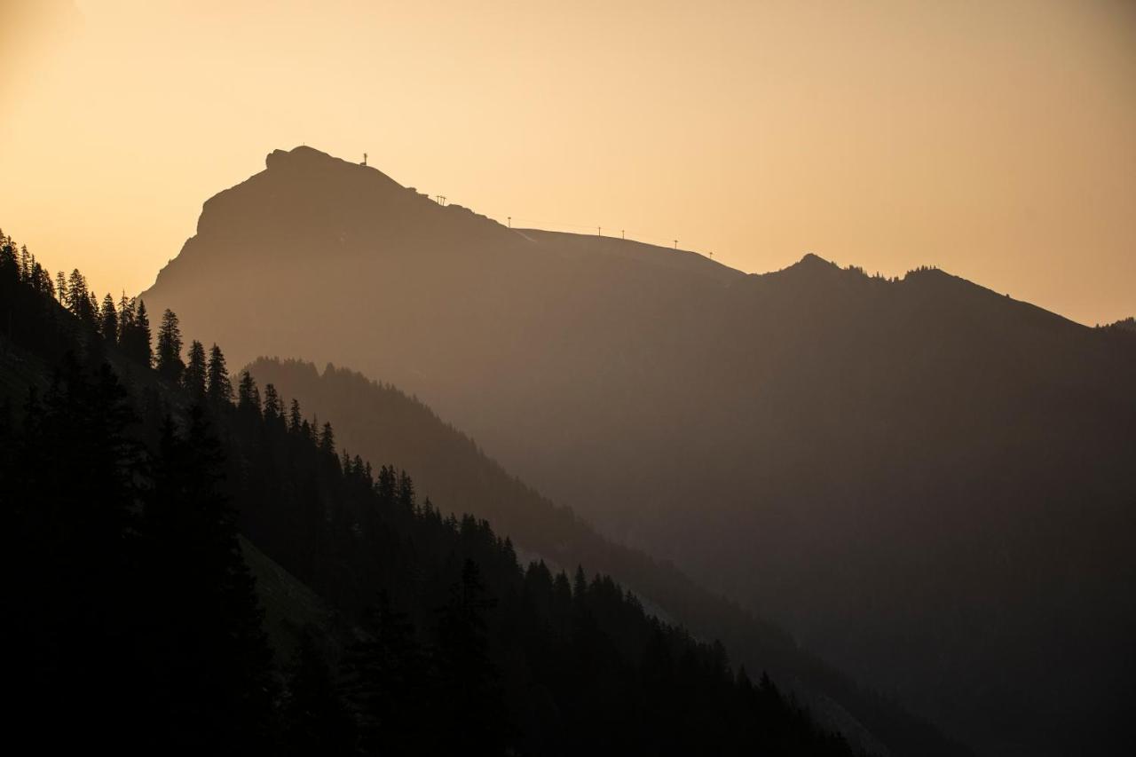 Boutiquehotel Das Edelweiss Schoppernau Exteriér fotografie